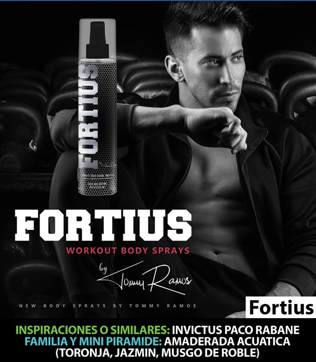 Fortius by Tommy Ramos - Image 2